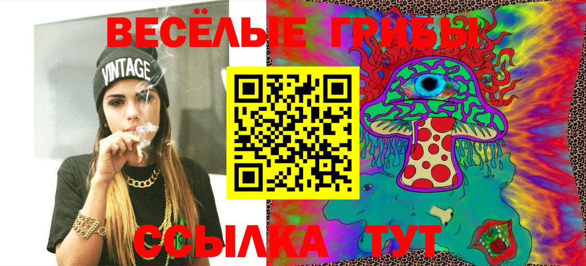 Химки  Псилоцибиновые грибы Cubensis  Вход с VPN 